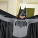 Illustration for article titled Batman arrested on roof in Michigan